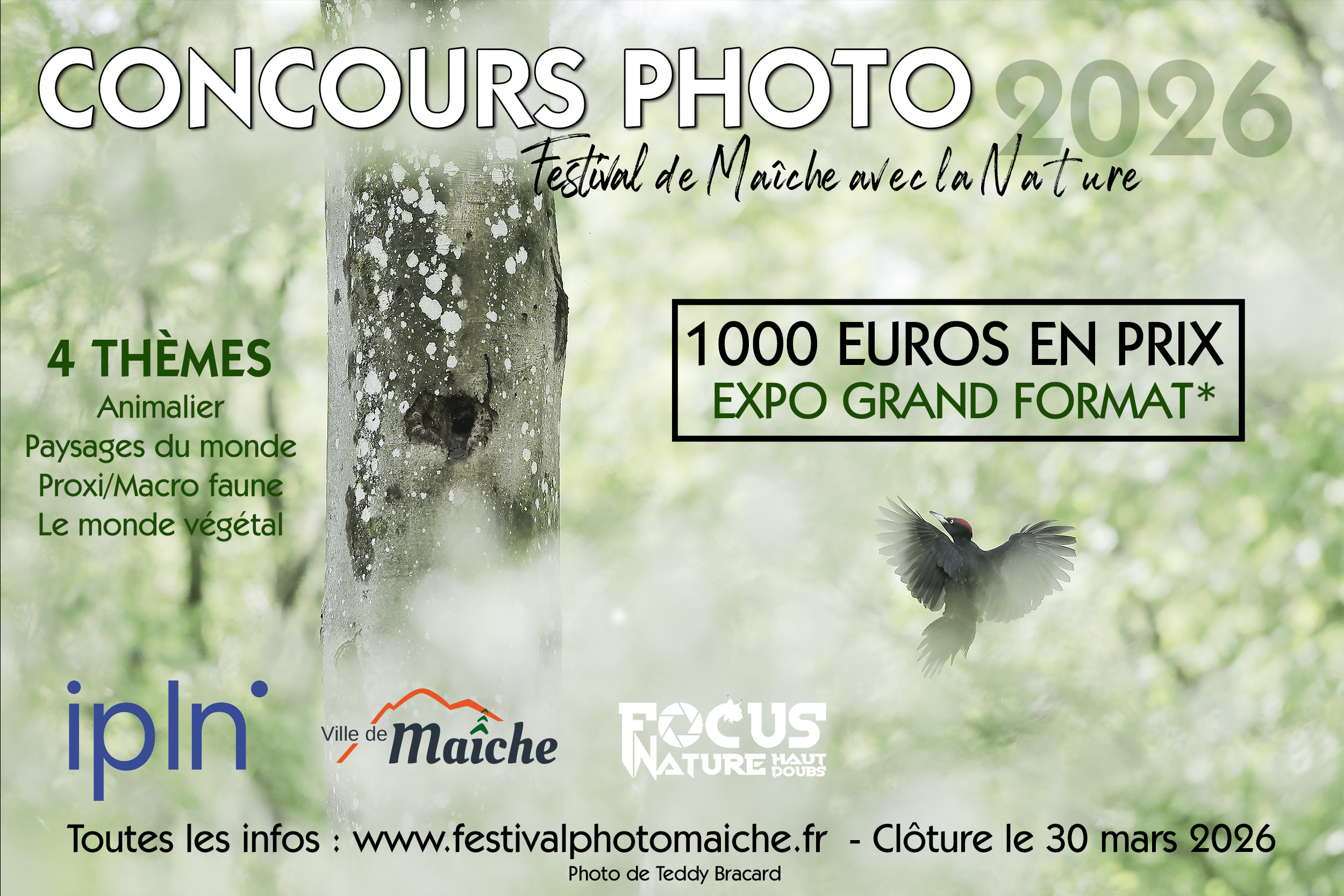 concours photo 2026 copie